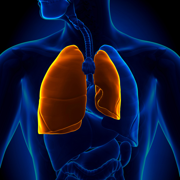 Pneumotorax, kolaps pluća