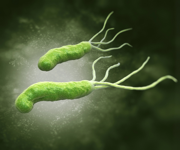 Helicobacter Pylori heliko bakterija pod mikroskopom