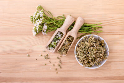 Achillea millefolium - hajdučka trava