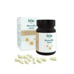 BIOTEO Boswellia kapsule® - 30 kapsula