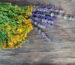 Sveže uzbran buket herbe kantariona u cvetu i lavande položeni na rustičnom drvenom stolu